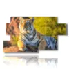 bild mit tiger im hochformat - version: 7 pannelli 157x90cm