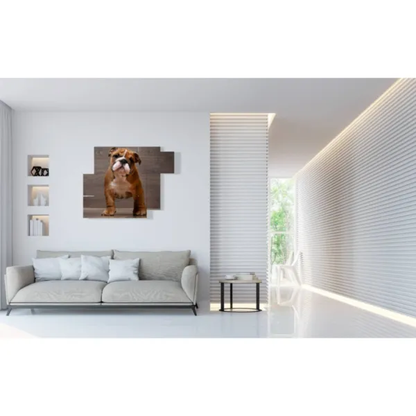 liebender Hund, Bilder