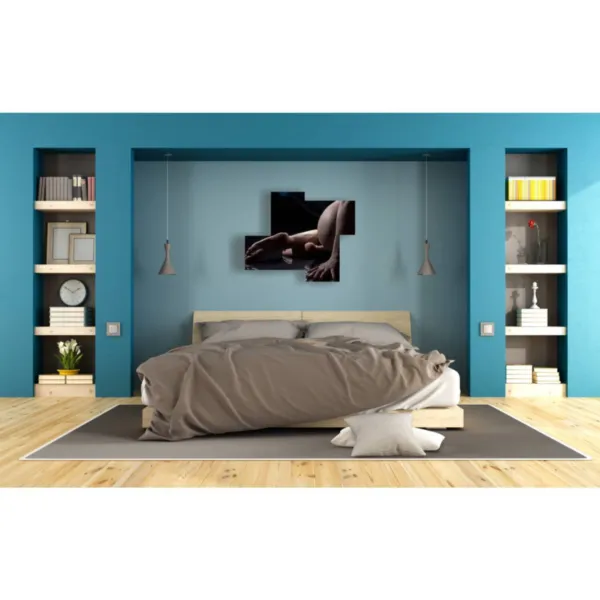 quadri di donne nude moderne