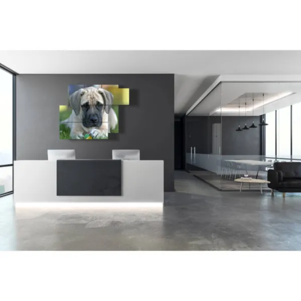 Impresiones con perros