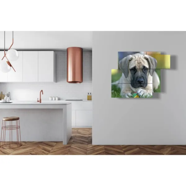 Tableaux avec un chien et une balle