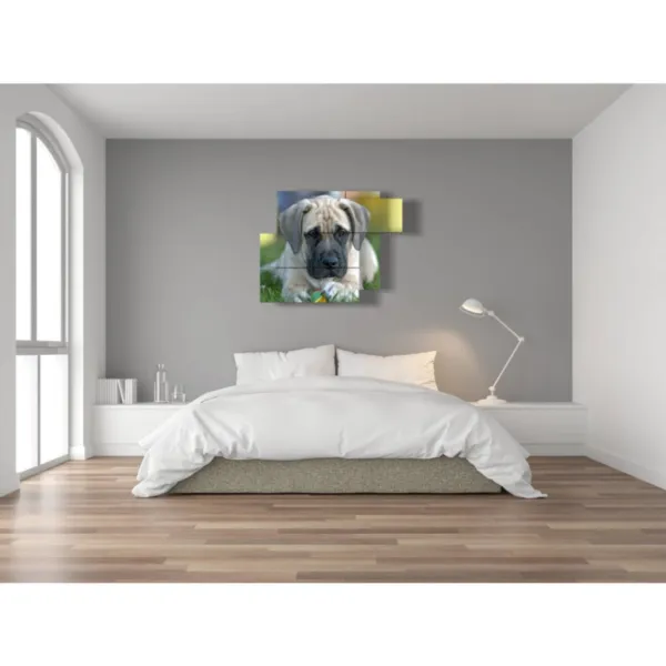 Cuadros con perros y pelotas