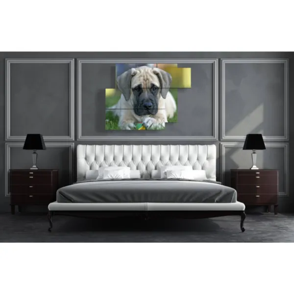 Impresiones con perros y pelotas