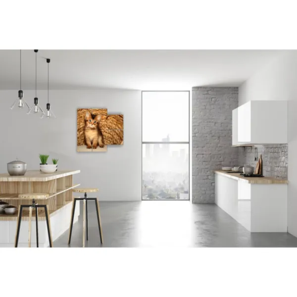 design interni gatto