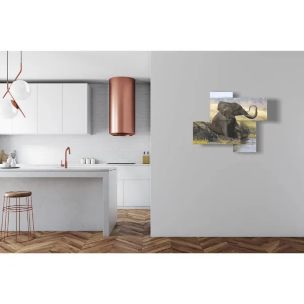 quadro con elefante stilizzato