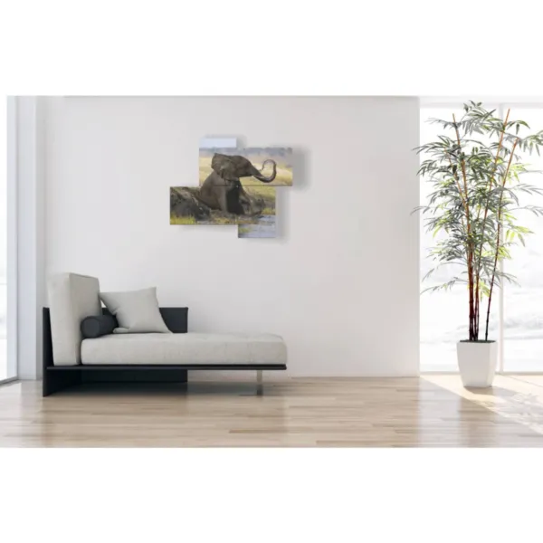 quadro con elefante su tela