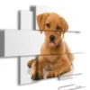 Cuadro de perro