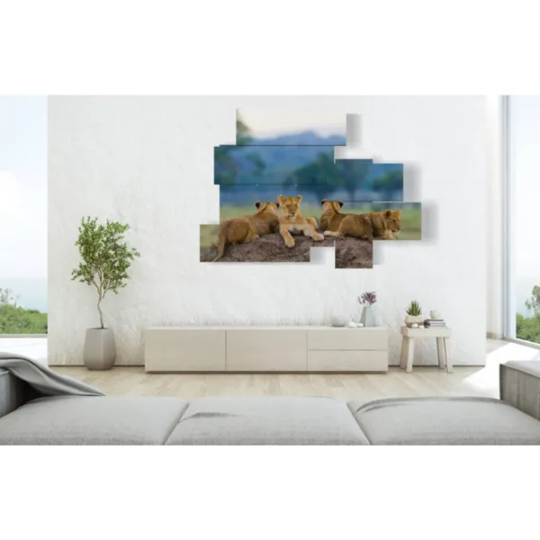 Paintings of a lion and puppies.