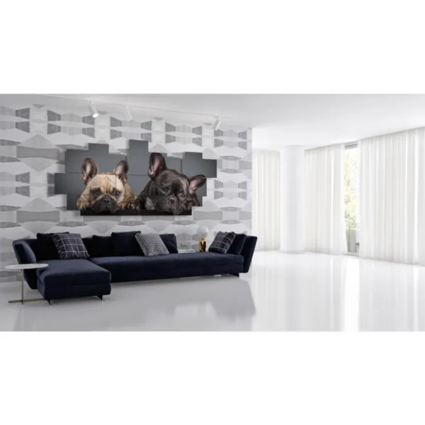 Prints with curious dogs