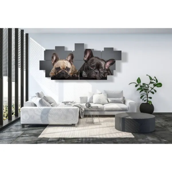 quadri di cani curiosi