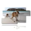 tableaux animaux modernes en australie - version: 7 pannelli 157x90cm