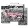 bilder autos gebrauchtwagen rosa - version: 5 pannelli 89x77cm