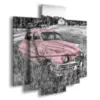 Paintings, cars, used cars, pink