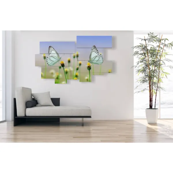 Tableaux de papillons blancs