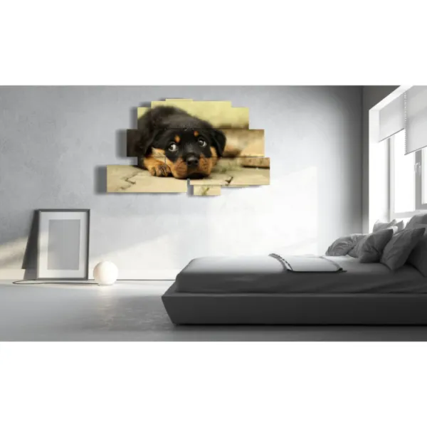 painted dog decorations