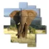 paintings with elephants in the savannah - version: 11 pannelli 146x158cm