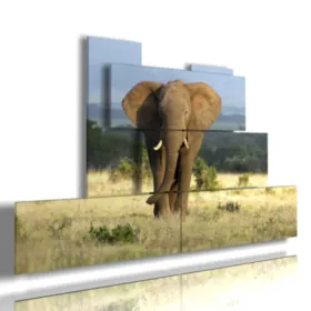 Paintings with elephants