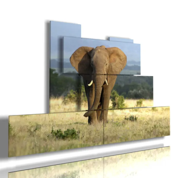 Paintings with elephants