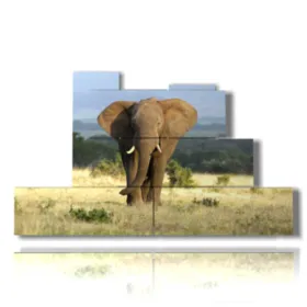 Tableaux avec des éléphants, décorations murales, tableaux avec 
