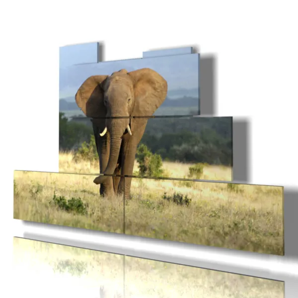 Paintings with elephants in the savannah