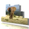 Paintings with elephants in the savannah