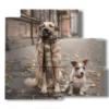 hunde in bilder freunde fuer immer - version: 5 pannelli 102x93cm