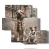 dogs in the paintings friends forever - version: 5 pannelli 104x92cm