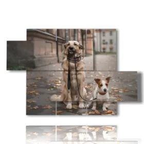 Hunde in den Gemälden