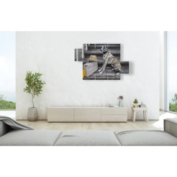 Interior design for dogs