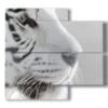 cuadros tigre blanco de perfil - version: 4 pannelli 91x85cm