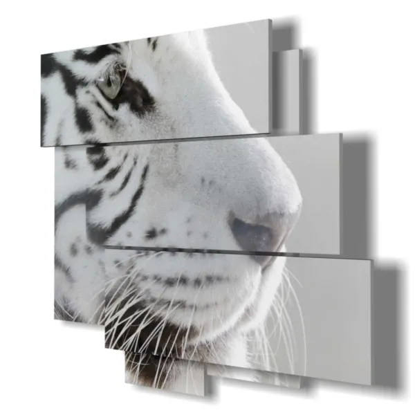 White tiger prints