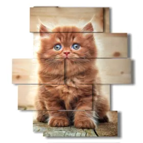 tableau avec des chats