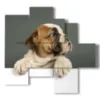 quadro cani curiosi - version: 5 pannelli 110x105cm