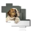 bild neugierige hunde - version: 6 pannelli 127x110cm