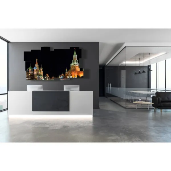 cuadro con foto de una mosca