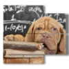 painting of a studious dog - version: 4 pannelli 91x85cm