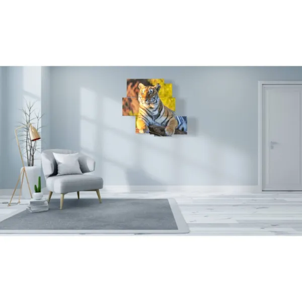 stampati tigre ritratti