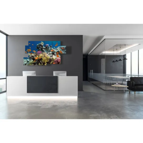 impressions de poissons tropicaux