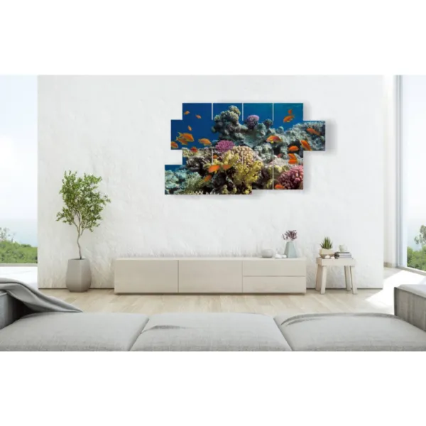 tropical fish decorations