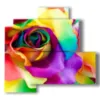 abstract flowers paintings of petals thousand colors - version: 4 pannelli 83x78cm