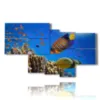 coral reef fish paintings - version: 7 pannelli 171x102cm