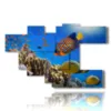 rifffisch bilder - version: 7 pannelli 171x108cm