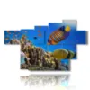coral reef fish paintings - version: 7 pannelli 173x108cm