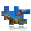 coral reef fish paintings - version: 7 pannelli 173x114cm