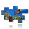 coral reef fish paintings - version: 7 pannelli 175x113cm