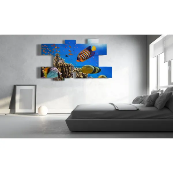 paintings of marine fish