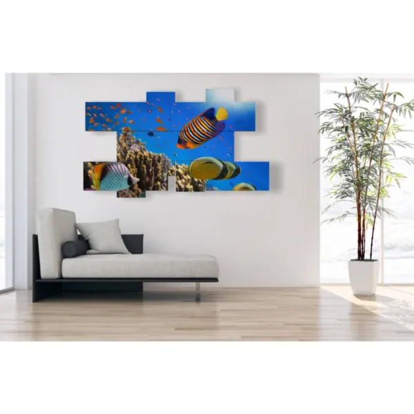 quadri di pesci decorativi