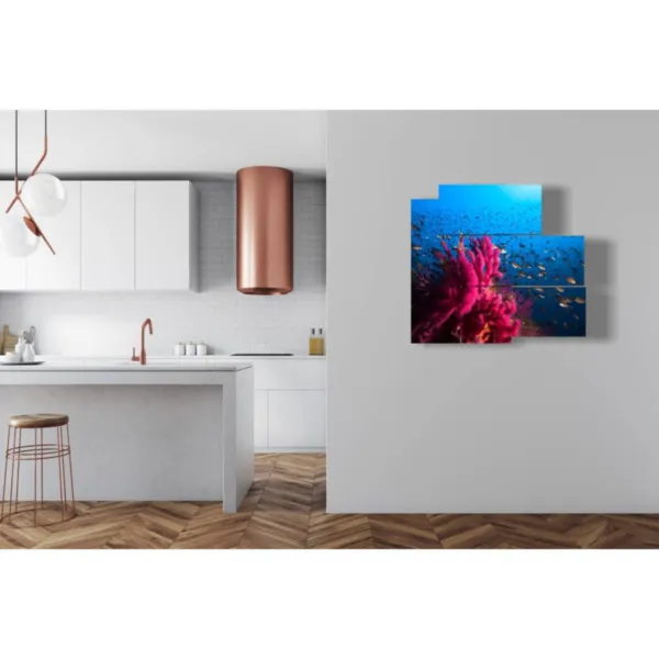 paintings with Mediterranean fish