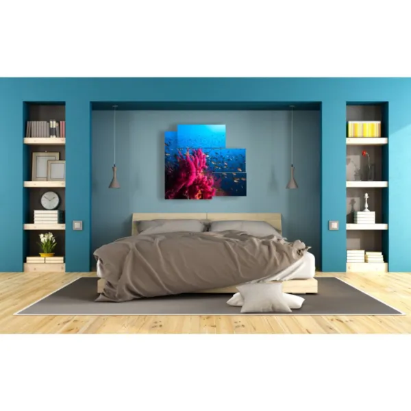 decorazioni con quadri di pesci