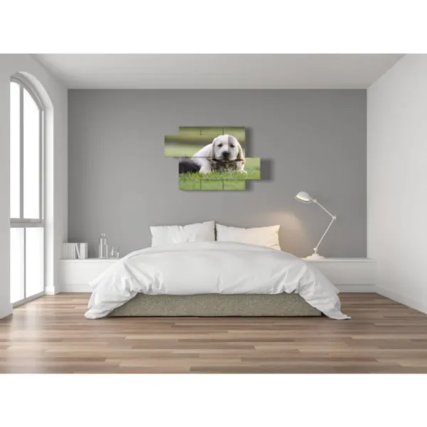 quadri di animali domestici